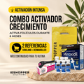 Minoxidil Kirkland x6 + Dermaroller 0.5 mm | 6 Meses